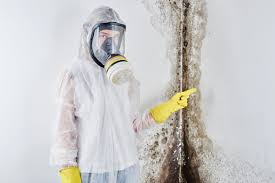 Addison, TX Mold Prevention & Removal  Company